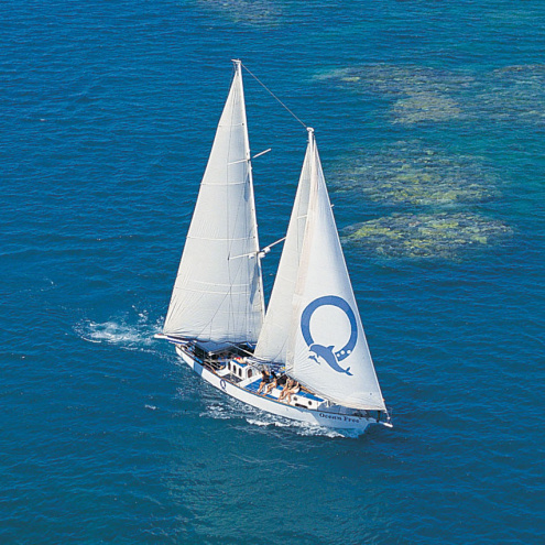 Ocean Free Green Island Cairns