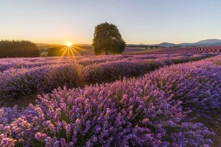 Attractions on the Tasman Peninsula