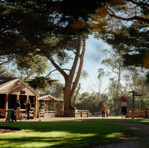 Churchill Island Heritage Farm