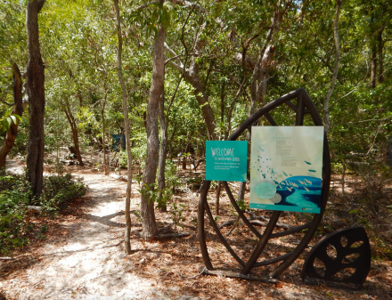 Chance Bay Walking Track | Whitsunday Island