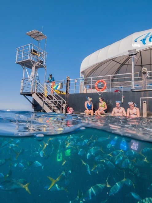Reef World | Whitsunday's Great Barrier Reef Tour