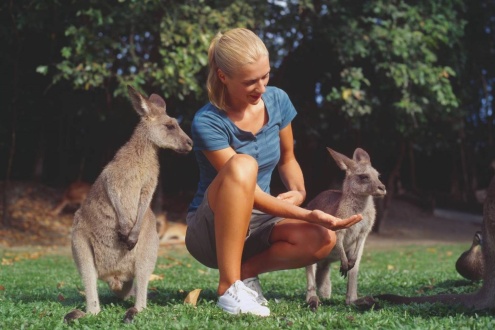 Wildlife Habitat Port Douglas