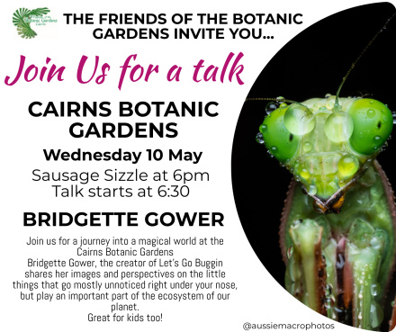 Take a journey into the magical world beneath our feet with Bridgette Gower