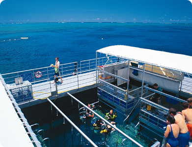 The Platform at Agincourt Reef Site