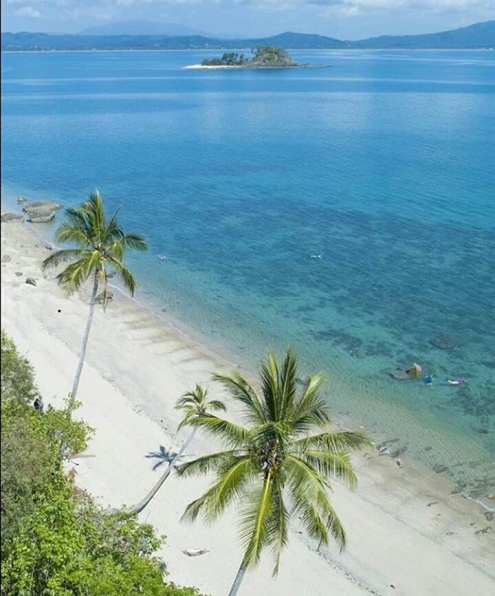 Fringing coral in the blue coral sea