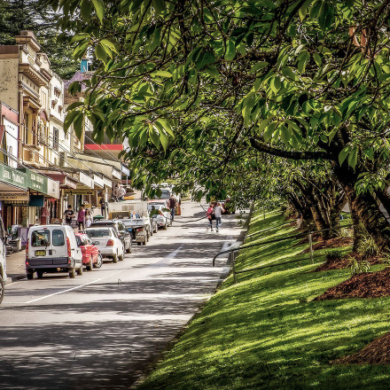 blue mountains guided tour