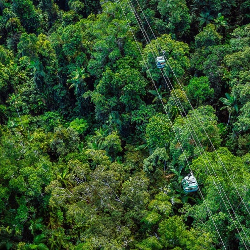 An ariel image of the skyrail gondola's over the rainforest canopy. 