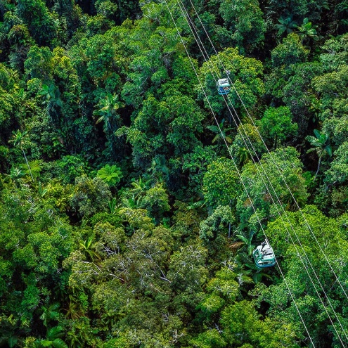 An ariel image of the skyrail gondola's over the rainforest canopy.