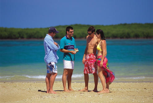 Guided Eco Beach Walk