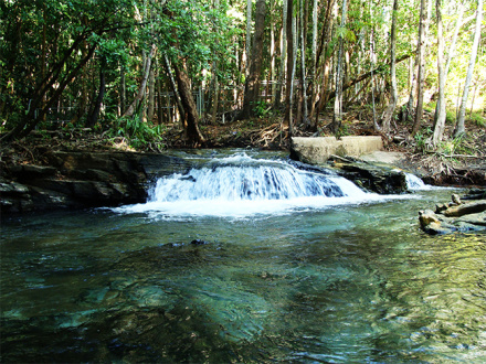 Berry Springs Nature Park