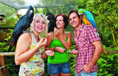 Birdworld Kuranda