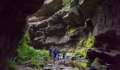 Blue Mountains Bush Walks