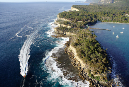 Bruny Island Cruises