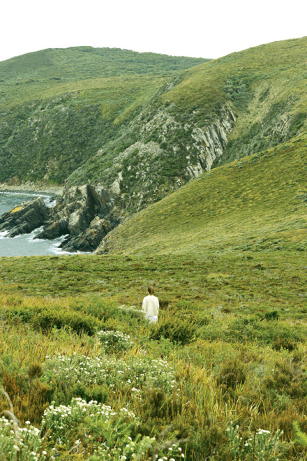 Bruny Island Day Tours from Hobart