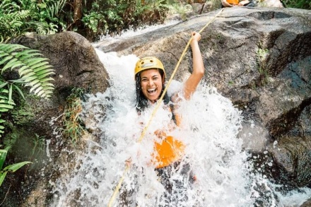 Cairns Rainforest