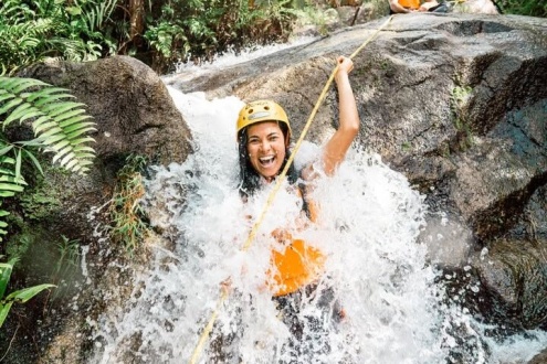 Cairns Rainforest