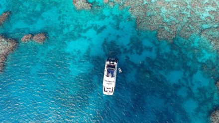 Cairns Reef Tour