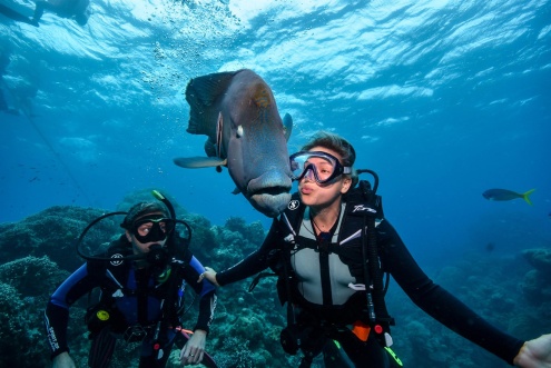 Certified Diving on the Great Barrier Reef with Tusa Dive