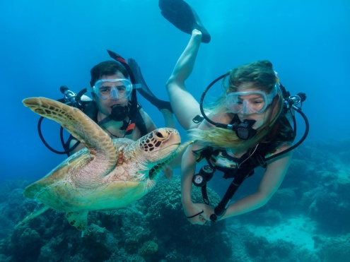 SCUBA with AquaQuest