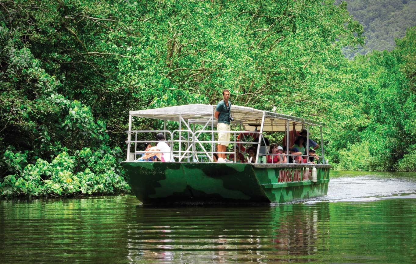 daintree rainforest river cruise