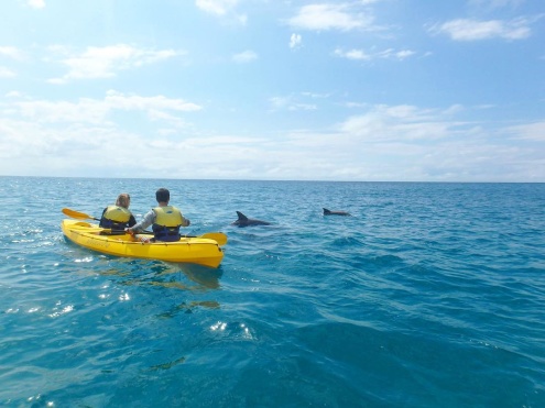 Double Island Dolphin View Kayak Tour Rainbow Beach