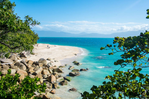 Fitzroy Island Beach