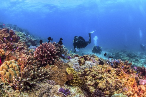 Full Day Scuba Diving at Flinders Reef with Lunch