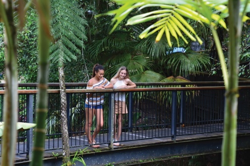 Kuranda Koala Gardens