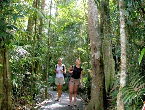 Kuranda Rainforest Walk
