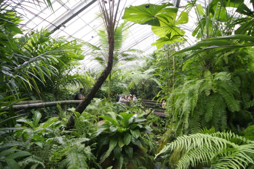 Kuranda Wildlife Attractions