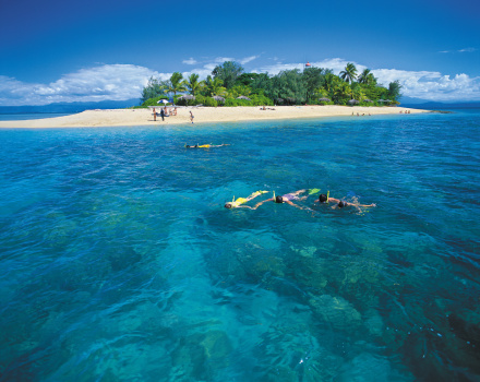 Low Island Port Douglas