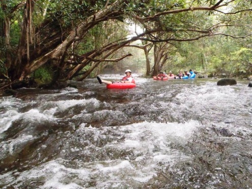 Mulgrave River Tubing