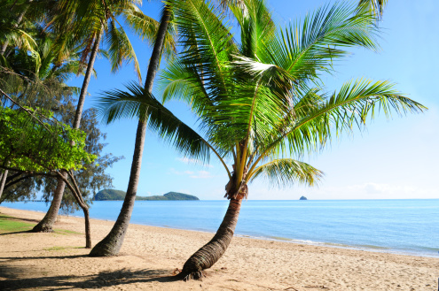 Palm Cove Beach