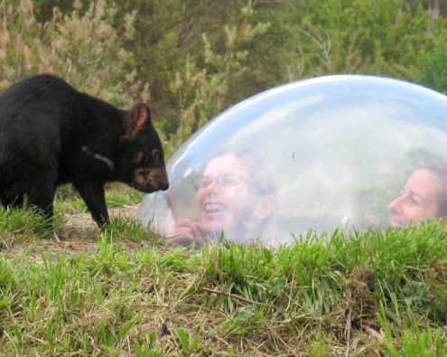 Port Arthur & Tassie Devils Tour