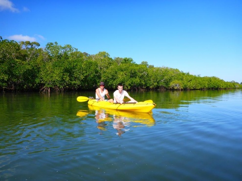 Rainbow Beach Turtle View Pelican Bay Kayak Tour