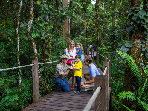 RAINFORESTATION WITH SKYRAIL & TRAIN