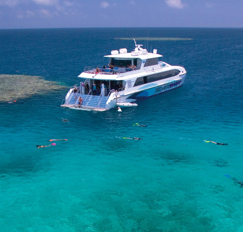 Silverswift Outer Barrier Reef Trip