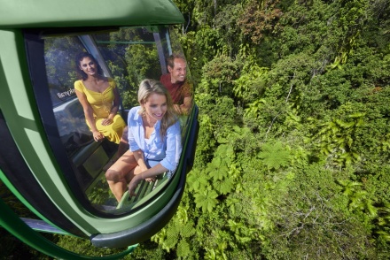 Skyrail Rainforest Cableway