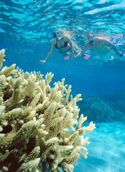 Snorkeling on the Great Barrier Reef