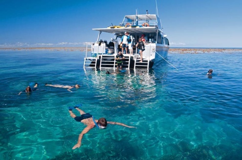 snorkeling on the reef 