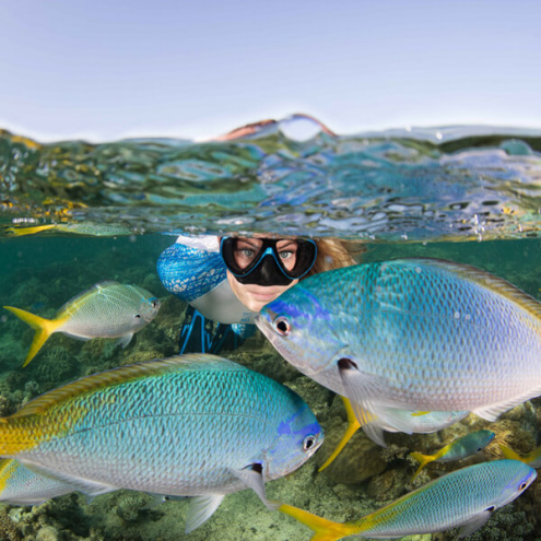 Snorkelling on Fitzroy Island