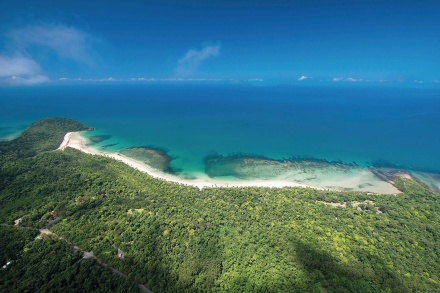 The Daintree Rainforest