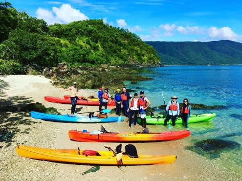 Palm Cove Kayak Turtle Tour