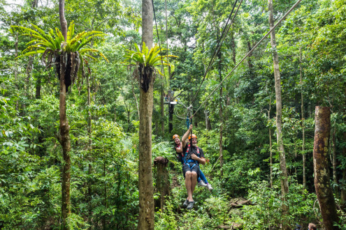 The Nightwalk with Jungle Surfing 