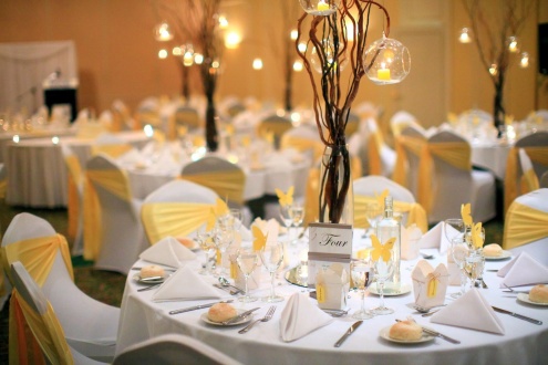 Venues & Events
