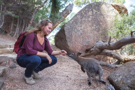 Wineglass Bay & Freycinet Day Tour