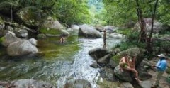 Mossman Gorge