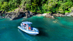 Get Dunked on the shore of Dunk Island