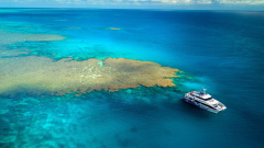 The SeaQuest Catamaran with a background of blue ocean and ariel views of the reef. 