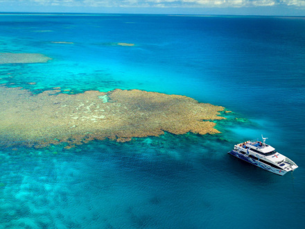 boat tours in cairns